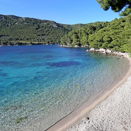 Apartments By The Sea Zuljana, Peljesac - 19080 Buitenkant foto