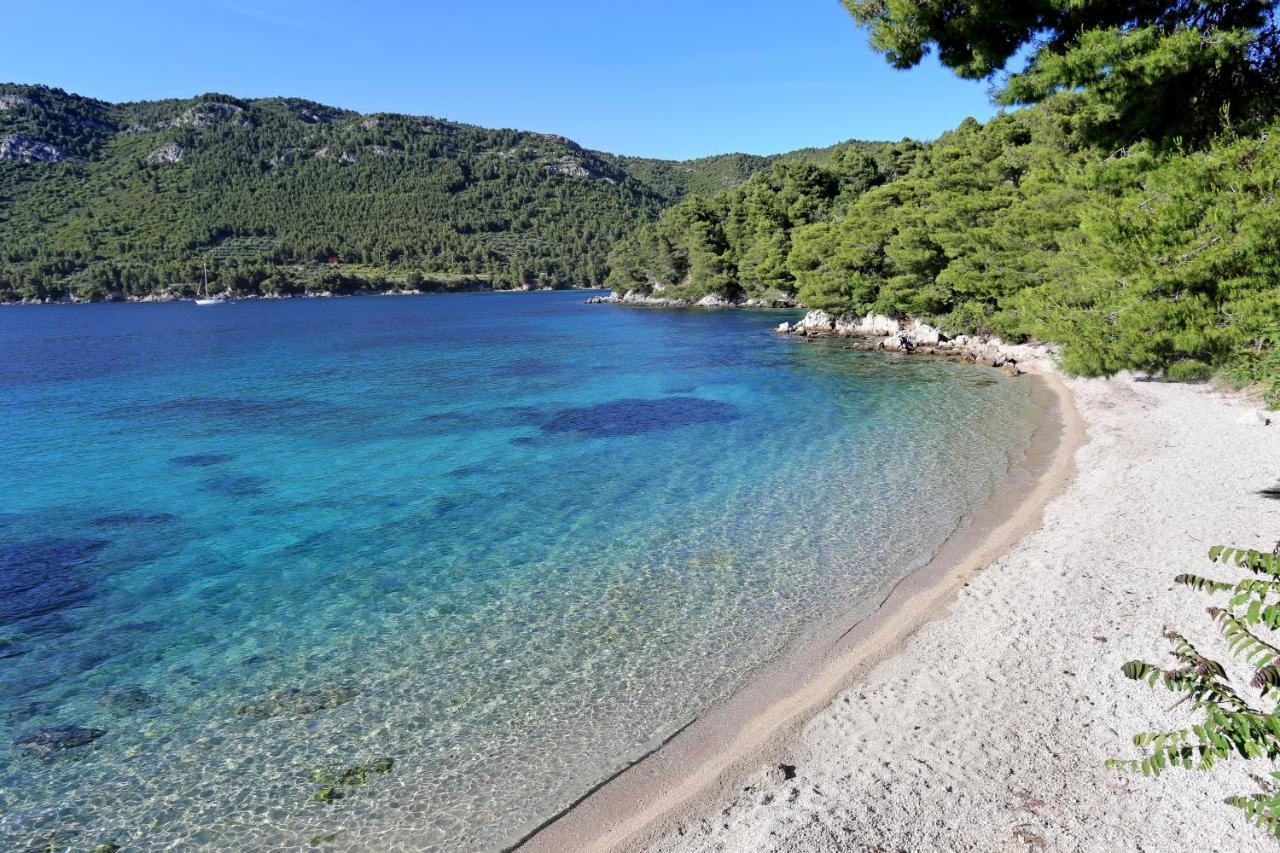 Apartments By The Sea Zuljana, Peljesac - 19080 Buitenkant foto